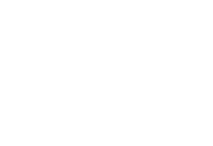 SAL-1